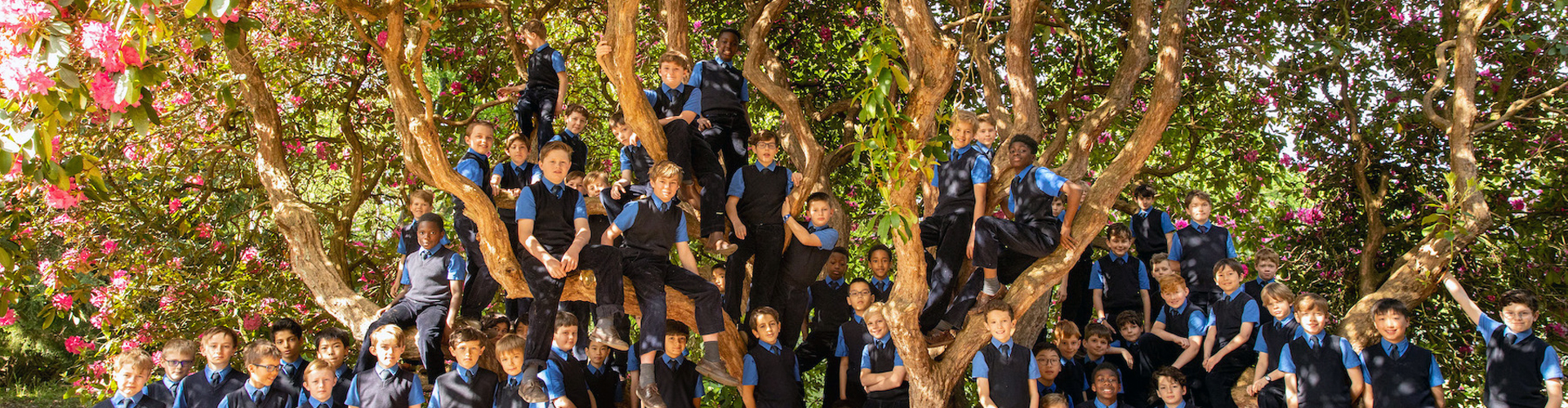 Sunningdale School Sunningdale School